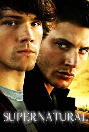 Supernatural, Season 10 poster 2