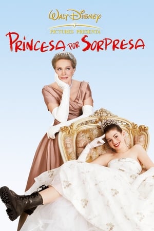 The Princess Diaries poster 1