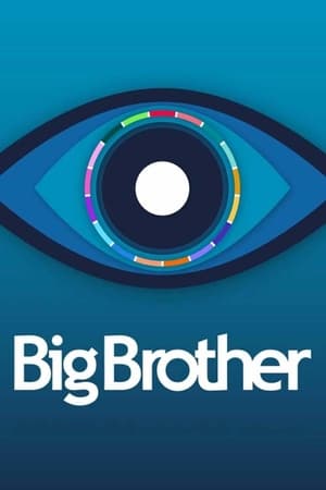Big Brother, Season 24 poster 0
