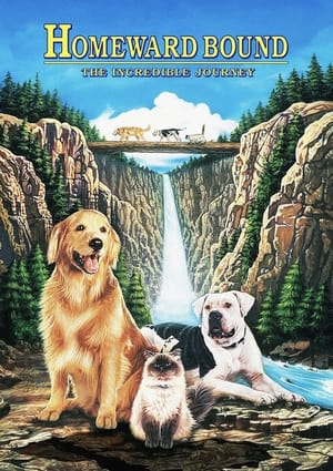 Homeward Bound: The Incredible Journey poster 3