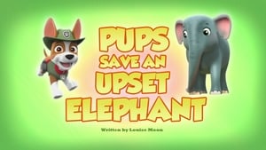 PAW Patrol, Vol. 5 - Pups Save an Upset Elephant image