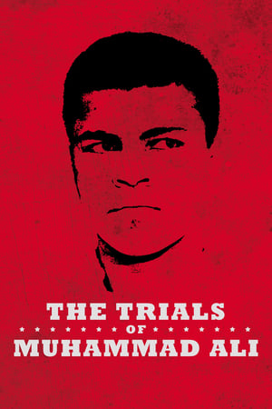 The Trials of Muhammad Ali poster 3