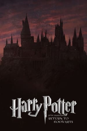 Harry Potter 20th Anniversary: Return to Hogwarts poster 3
