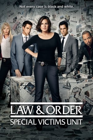 Law & Order: SVU (Special Victims Unit), Season 9 poster 1