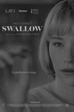 Swallow poster 2
