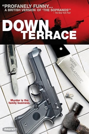 Down Terrace poster 4