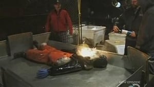 Deadliest Catch, Season 5 - No Second Chances image