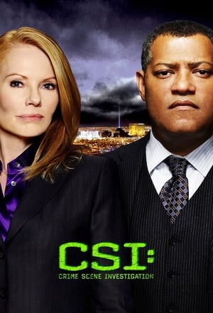 CSI: Crime Scene Investigation, Season 10 poster 0