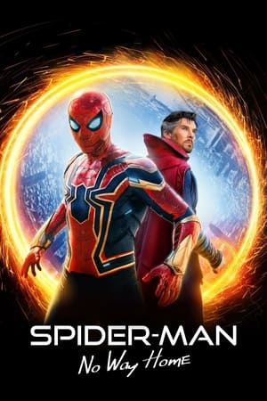 Spider-Man: No Way Home poster 3