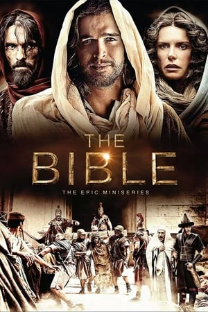 The Bible poster 2