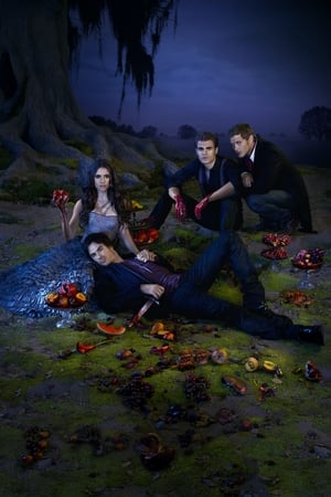 The Vampire Diaries, Season 8 poster 0