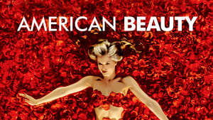 American Beauty image 4