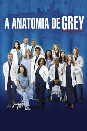 Grey's Anatomy, Season 7 poster 0