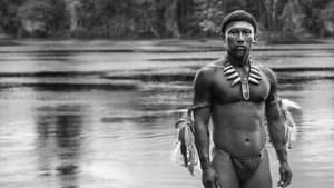Embrace of the Serpent image 5