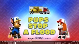 PAW Patrol, Vol. 9 - Big Truck Pups - Pups Stop a Flood image