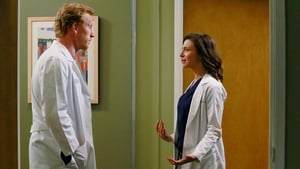 Grey's Anatomy, Season 11 - One Flight Down image