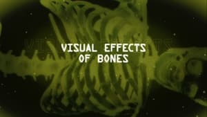 Bones, The Complete Series - Visual Effects Of Bones image