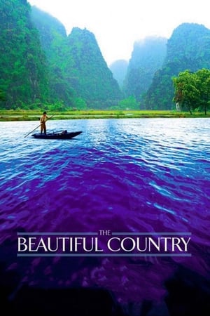 The Beautiful Country poster 2
