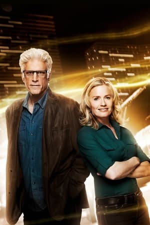 CSI: Crime Scene Investigation, Season 13 poster 3