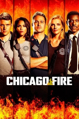 Chicago Fire, Season 5 poster 0