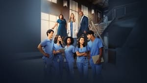 Grey's Anatomy, Season 5 image 2