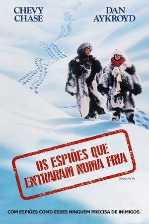 Spies Like Us poster 4