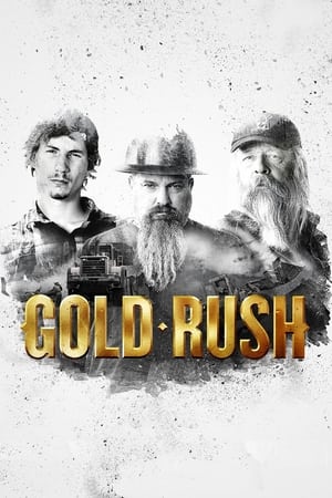 Gold Rush, Season 12 poster 0