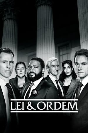 Law & Order, Season 17 poster 1