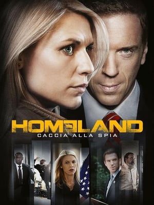 Homeland, Season 6 poster 2
