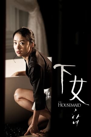 The Housemaid (2011) poster 4