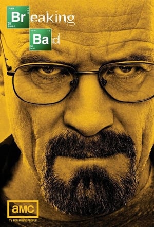 Breaking Bad: The Complete Collection poster 1