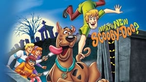 What's New Scooby-Doo?, Season 3 image 2
