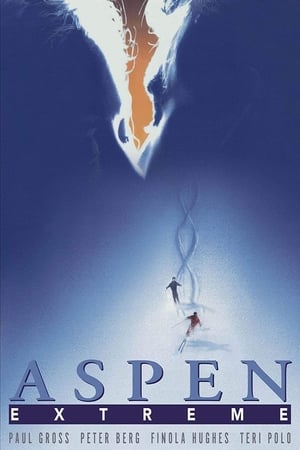 Aspen Extreme poster 4