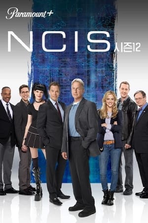 NCIS, Season 8 poster 1