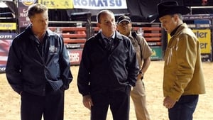 CSI: Crime Scene Investigation, Season 8 - Bull image