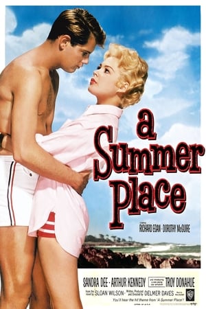 A Summer Place poster 3