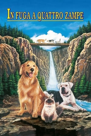 Homeward Bound: The Incredible Journey poster 2
