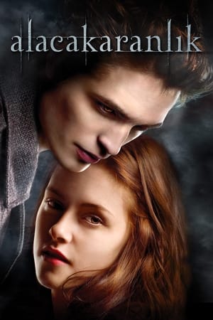 Twilight poster 3