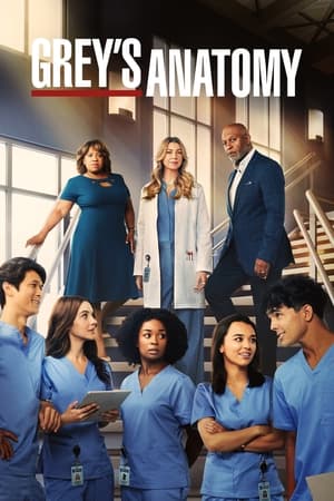 Grey's Anatomy, Season 16 poster 2
