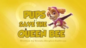 PAW Patrol, Sea Patrol, Pt. 2 - Pups Save the Queen Bee image