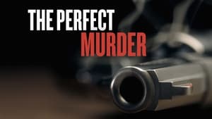 The Perfect Murder, Season 3 image 0