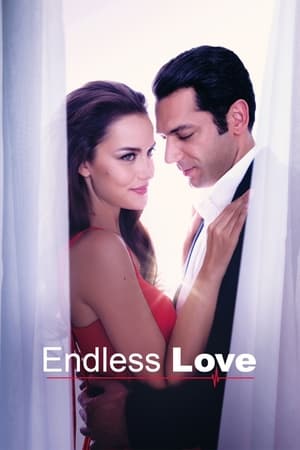 Endless Love (2014) poster 1