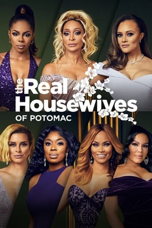 The Real Housewives of Potomac, Season 5 poster 1
