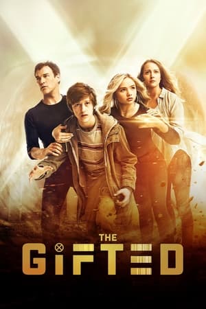 The Gifted, Season 1 poster 2