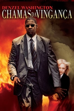 Man On Fire (2004) poster 4