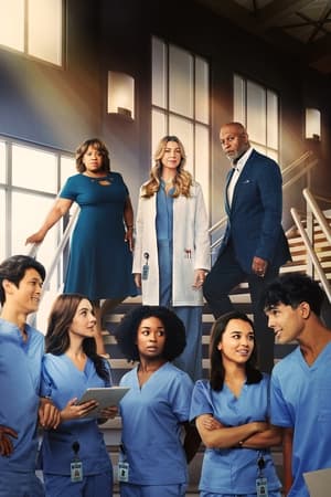 Grey's Anatomy, Season 4 poster 2