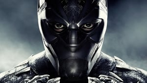 Black Panther (2018) image 8