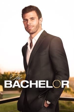 The Bachelor, Season 26 poster 3