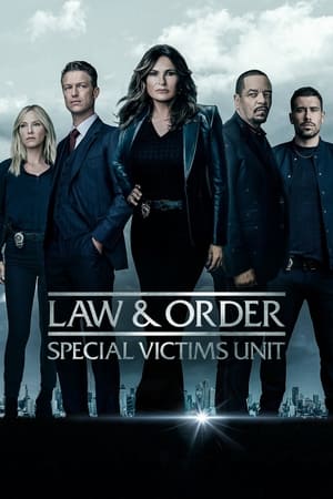Law & Order: SVU (Special Victims Unit), Season 8 poster 0