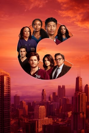 Chicago Med, Season 4 poster 0